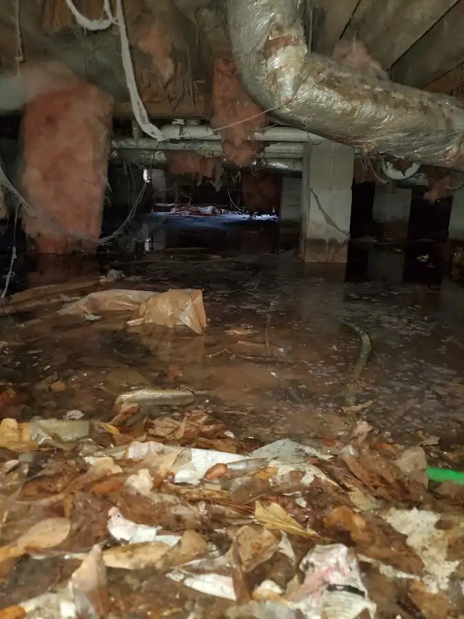 Crawl space flood assessment for Leak Detection & Repair in Armada